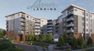 Larner Landing