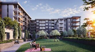 Seymour Village – Lupine