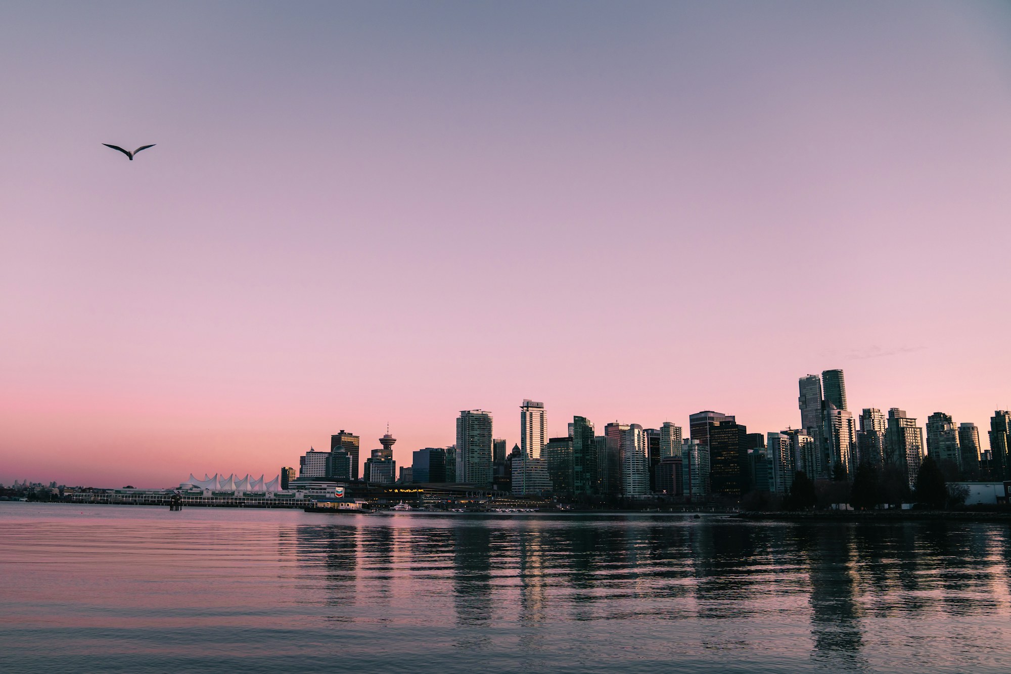 Vancouver skyline and Coal Harbour at sunset, with downtown condo towers and a construction crane