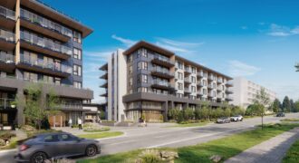 Arbour (Townhome)