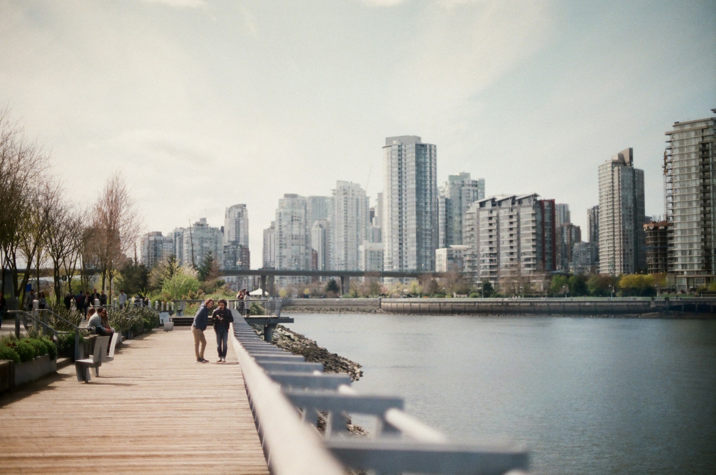 Condo towers along the False Creek seawall in Vancouver, representing the Metro Vancouver presale condo pipeline